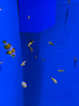 アクアワールド茨城県大洗水族館に投稿された画像（2026/3/21）