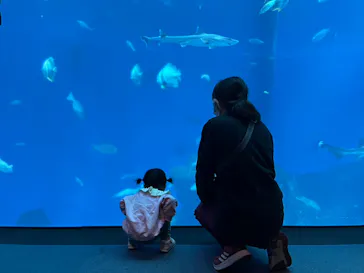 アクアワールド茨城県大洗水族館に投稿された画像（2026/3/21）