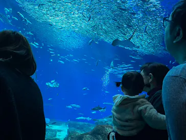 アクアワールド茨城県大洗水族館に投稿された画像（2026/3/21）