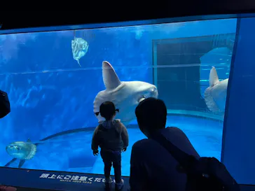 アクアワールド茨城県大洗水族館に投稿された画像（2026/3/21）