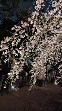 六義園に投稿された画像（2026/3/21）