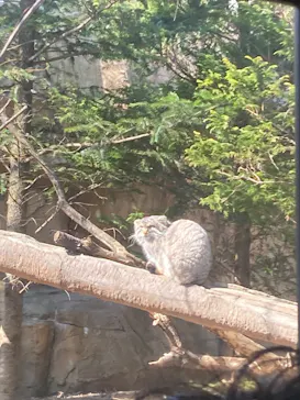 那須どうぶつ王国に投稿された画像（2026/3/21）