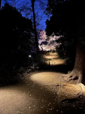 六義園に投稿された画像（2026/3/21）