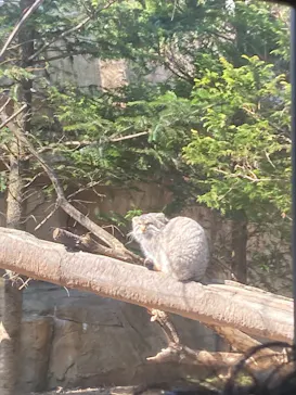 那須どうぶつ王国に投稿された画像（2026/3/21）