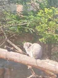 那須どうぶつ王国に投稿された画像（2026/3/21）