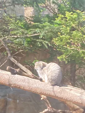 那須どうぶつ王国に投稿された画像（2026/3/21）