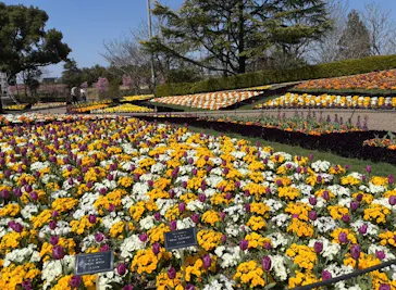 安城産業文化公園デンパークに投稿された画像（2026/3/21）