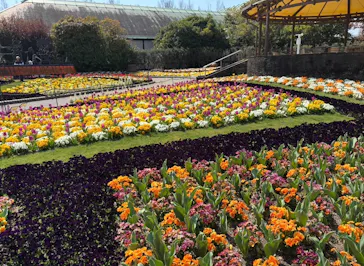 安城産業文化公園デンパークに投稿された画像（2026/3/21）