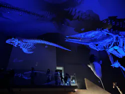 北九州市立自然史・歴史博物館（いのちのたび博物館）に投稿された画像（2026/3/21）