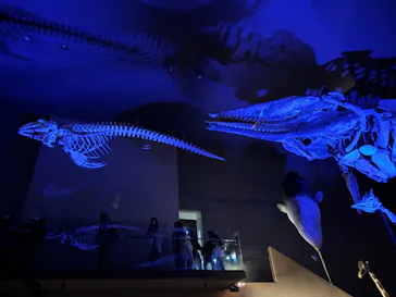 北九州市立自然史・歴史博物館（いのちのたび博物館）に投稿された画像（2026/3/21）