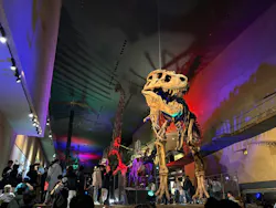 北九州市立自然史・歴史博物館（いのちのたび博物館）に投稿された画像（2026/3/21）