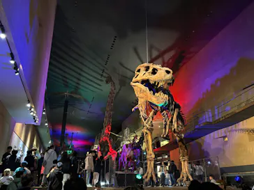 北九州市立自然史・歴史博物館（いのちのたび博物館）に投稿された画像（2026/3/21）