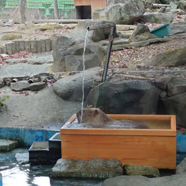 群馬サファリパークに投稿された画像（2026/3/21）