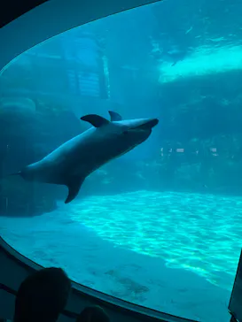 名古屋港水族館に投稿された画像（2026/3/21）
