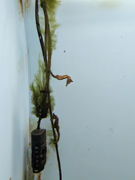 仙台うみの杜水族館に投稿された画像（2026/3/21）