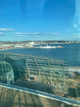 環境水族館アクアマリンふくしまに投稿された画像（2026/3/21）