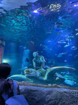 レゴランドⓇ・ジャパン・リゾートに投稿された画像（2026/3/21）