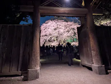 六義園に投稿された画像（2026/3/21）