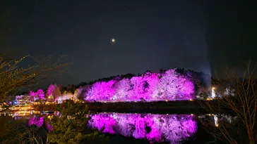 ムーミンバレーパークに投稿された画像（2026/3/21）