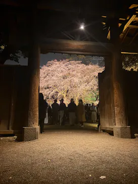 六義園に投稿された画像（2026/3/21）