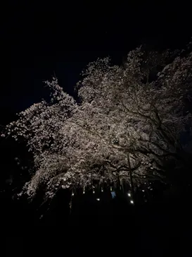 六義園に投稿された画像（2026/3/21）