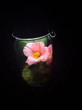 六義園に投稿された画像（2026/3/21）