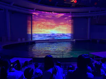 アクアワールド茨城県大洗水族館に投稿された画像（2026/3/21）