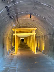 土肥金山に投稿された画像（2026/3/21）