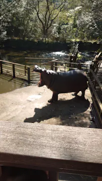 長崎バイオパークに投稿された画像（2026/3/21）