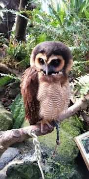 伊豆シャボテン動物公園に投稿された画像（2026/3/21）