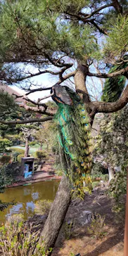 伊豆シャボテン動物公園に投稿された画像（2026/3/21）