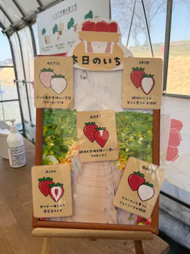 ICHIGOHOUSE.HITACHINAKAに投稿された画像（2026/3/21）