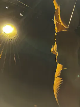 MYSTERY OF TUTANKHAMEN 体感型古代エジプト展に投稿された画像（2026/3/21）