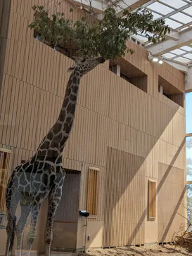 こども動物自然公園（埼玉県公園緑地協会）に投稿された画像（2026/3/21）