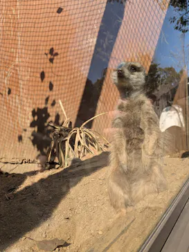 こども動物自然公園（埼玉県公園緑地協会）に投稿された画像（2026/3/21）