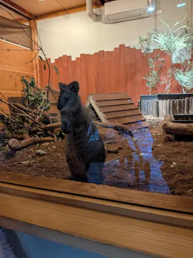 こども動物自然公園（埼玉県公園緑地協会）に投稿された画像（2026/3/21）
