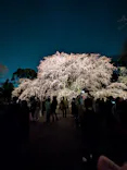 六義園に投稿された画像（2026/3/22）