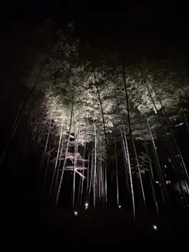 六義園に投稿された画像（2026/3/21）