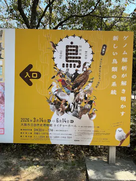特別展「鳥 ～ゲノム解析が解き明かす新しい鳥類の系統～」に投稿された画像（2026/3/21）