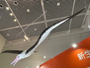 特別展「鳥 ～ゲノム解析が解き明かす新しい鳥類の系統～」に投稿された画像（2026/3/21）