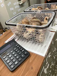 東京きのこランドに投稿された画像（2026/3/21）