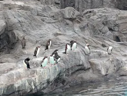 葛西臨海水族園に投稿された画像（2026/3/21）