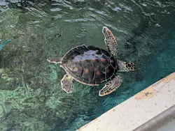 葛西臨海水族園に投稿された画像（2026/3/21）