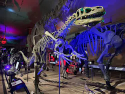 北九州市立自然史・歴史博物館（いのちのたび博物館）に投稿された画像（2026/3/22）