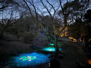 六義園に投稿された画像（2026/3/22）