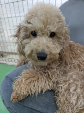 つくばわんわんランドに投稿された画像（2026/3/22）