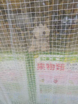 つくばわんわんランドに投稿された画像（2026/3/22）