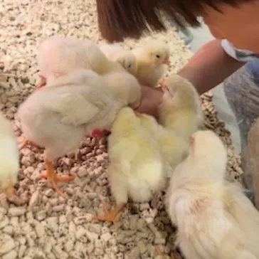 Moff animal cafe イオンモール新利府店に投稿された画像（2026/3/22）