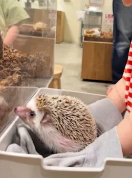 Moff animal cafe イオンモール新利府店に投稿された画像（2026/3/22）