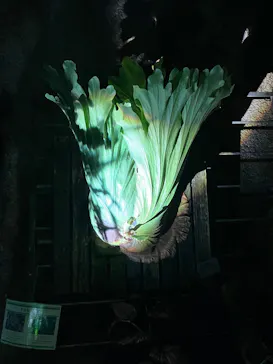 京都府立植物園　LIGHT CYCLES KYOTOに投稿された画像（2026/3/22）